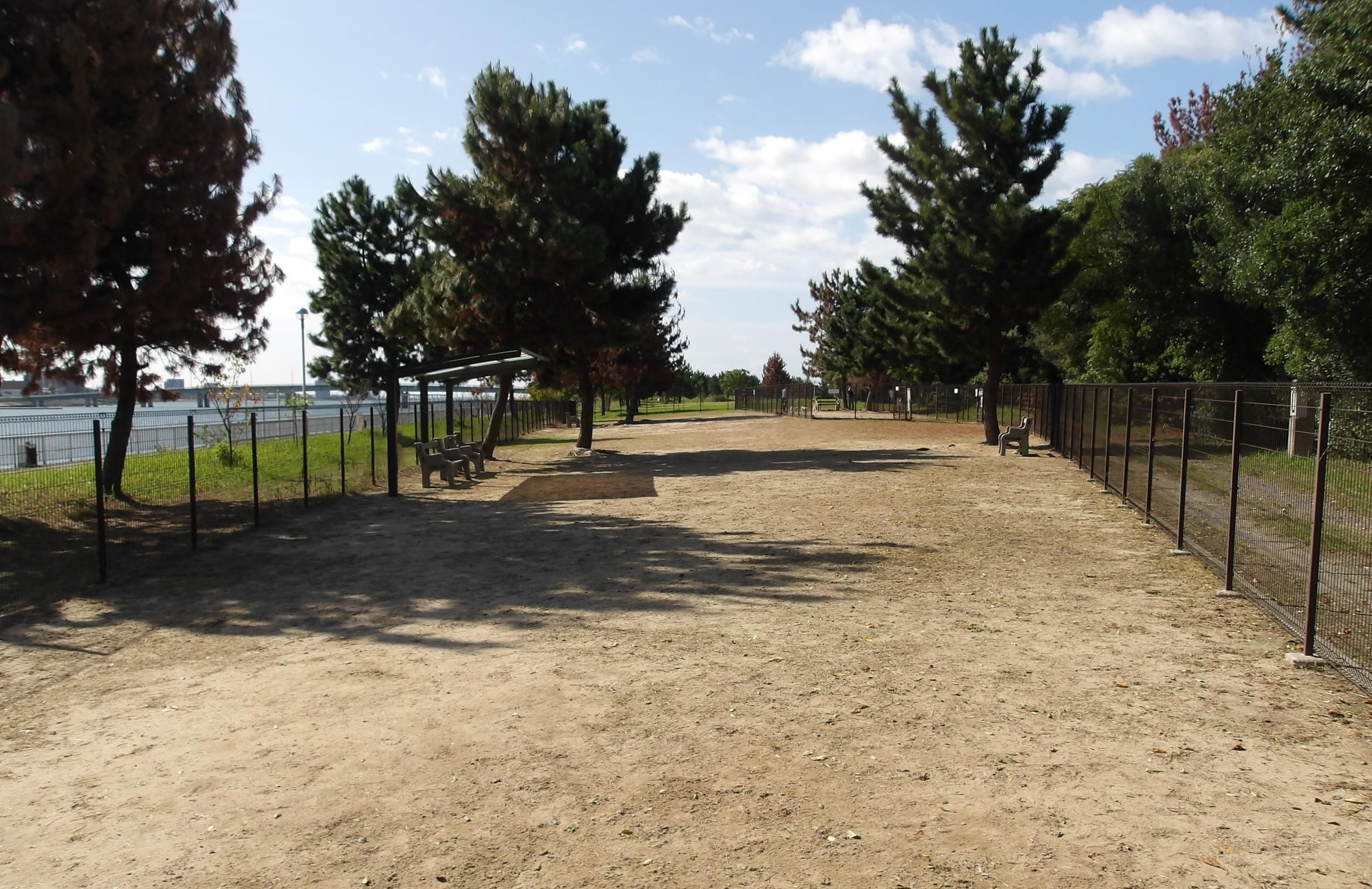 ドッグランイメージ